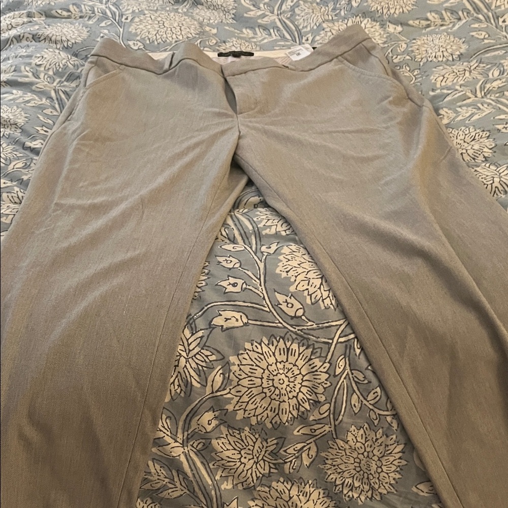 Banana Republic Women's Gray Trousers